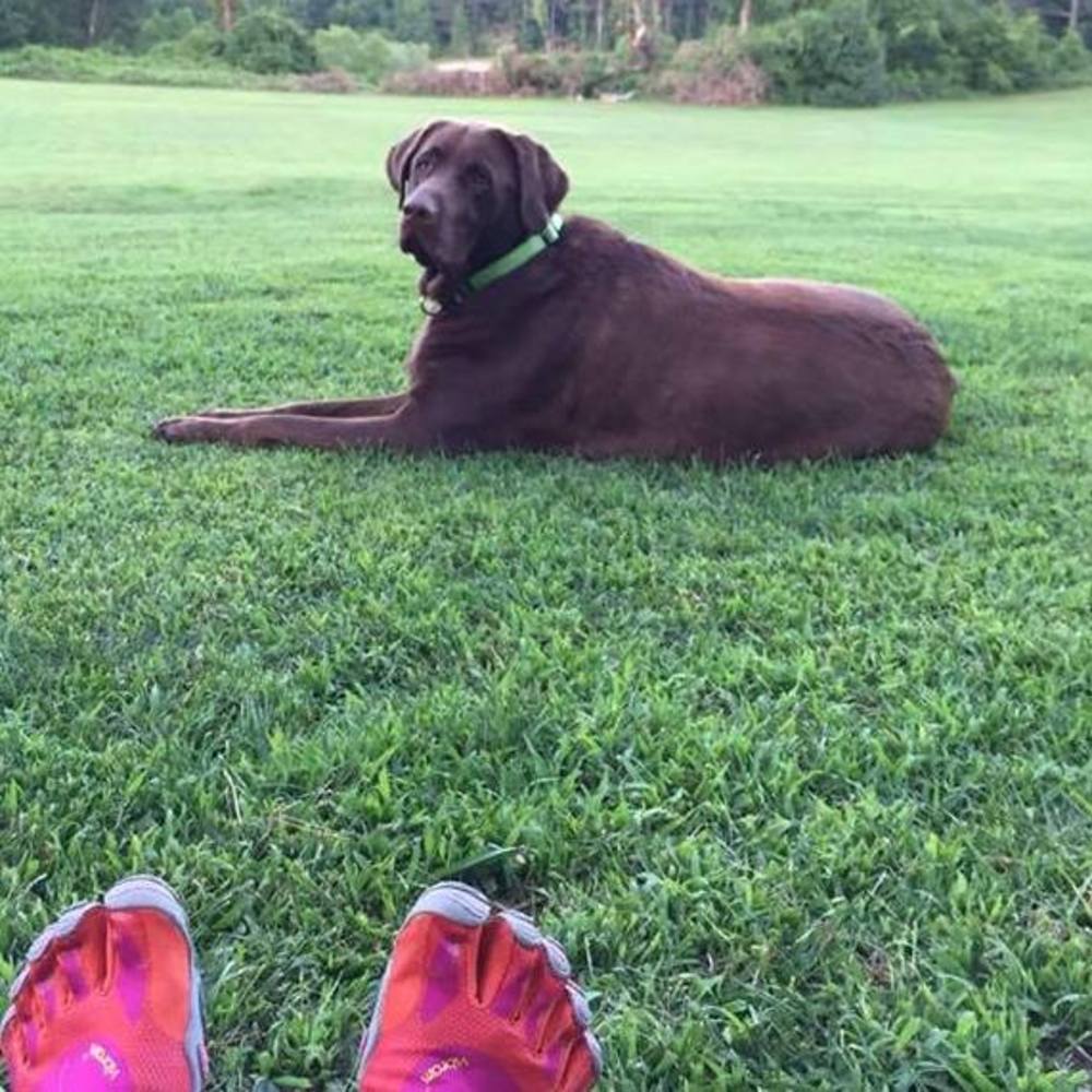 Meet your Posher, Katie